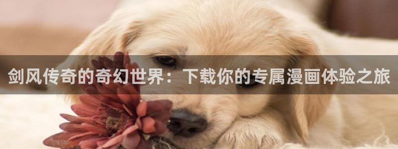 女神漫画免费漫画网页：剑风传奇的奇幻世界：下载你的专属漫画体验之旅