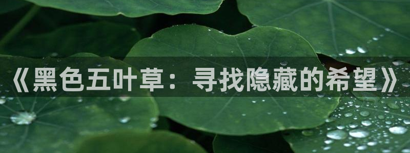 女神漫画在线免费阅读：《黑色五叶草：寻找隐藏的希望》